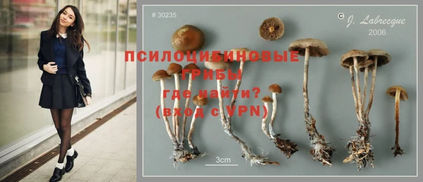 соль ск Медногорск