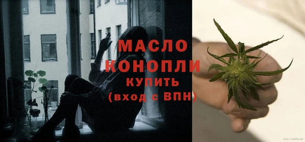 индика Михайловка