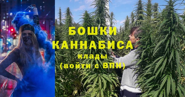 индика Михайловка