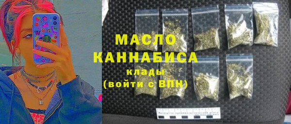 индика Михайловка