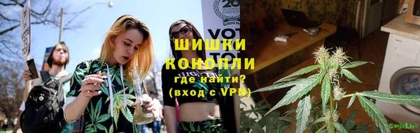 сатива Михайловск