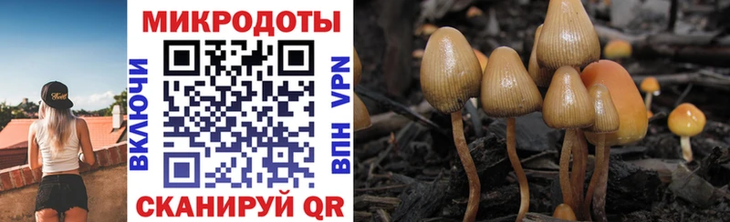 Галлюциногенные грибы Cubensis  Отрадный 