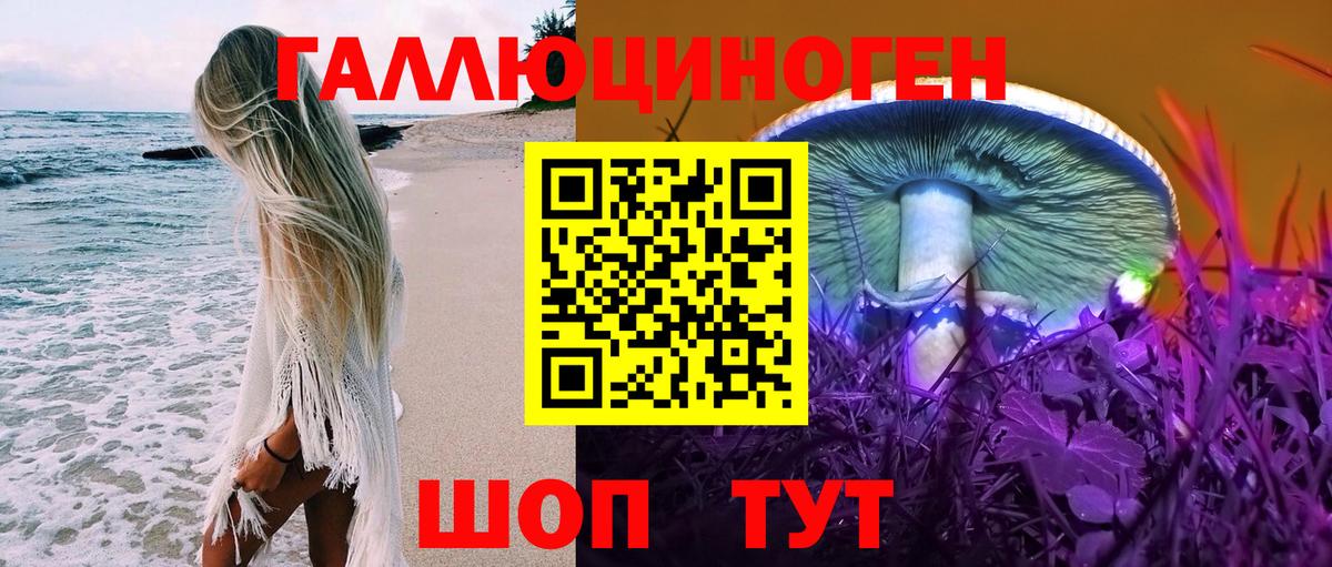 Псилоцибиновые грибы прущие грибы Отрадный